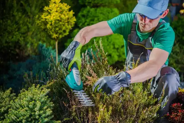 landscaping services Fordoche